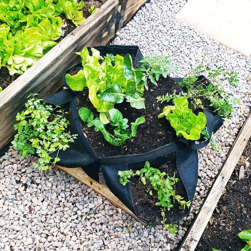 Stackable Planters – Reel Gardening